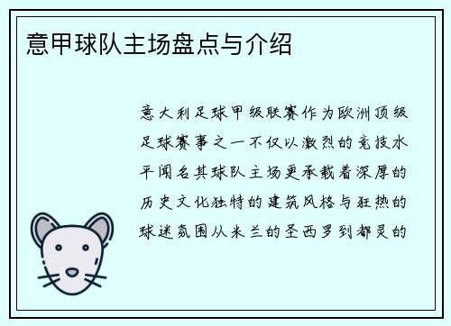 意甲球队主场盘点与介绍