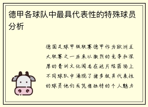 德甲各球队中最具代表性的特殊球员分析